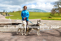 Doggy Day Out at National Botanic Garden of Wales